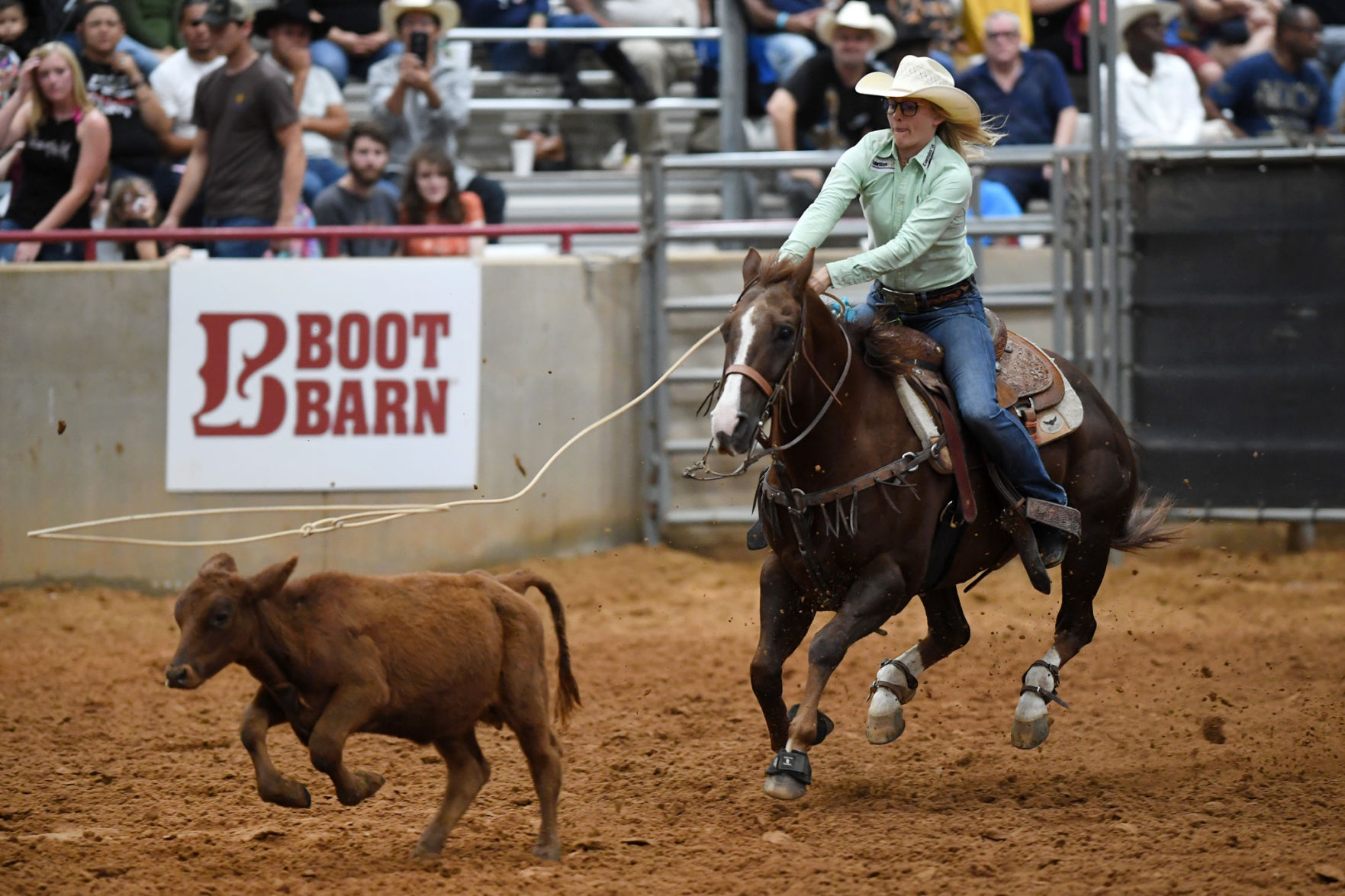 Brazos Valley Fair and Rodeo